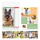 Calendario Cani e Gatti