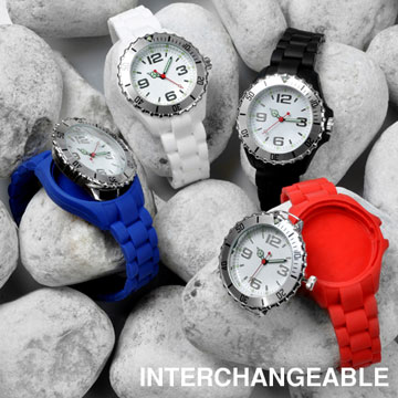 INTERCHANGEABLE